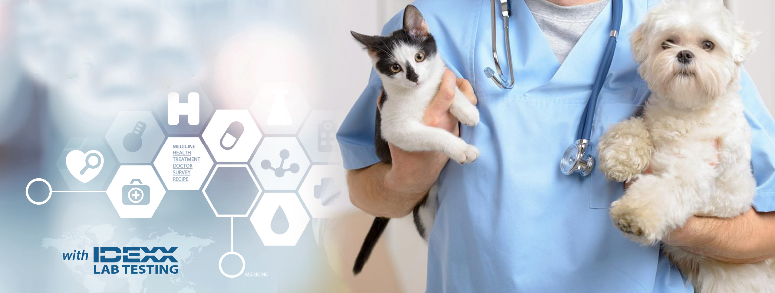 Premier Care+ with IDEXX Lab Testing